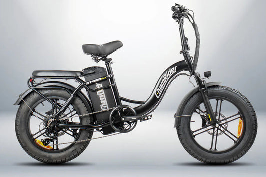 ChamRider DT450 48V50AH | 750W