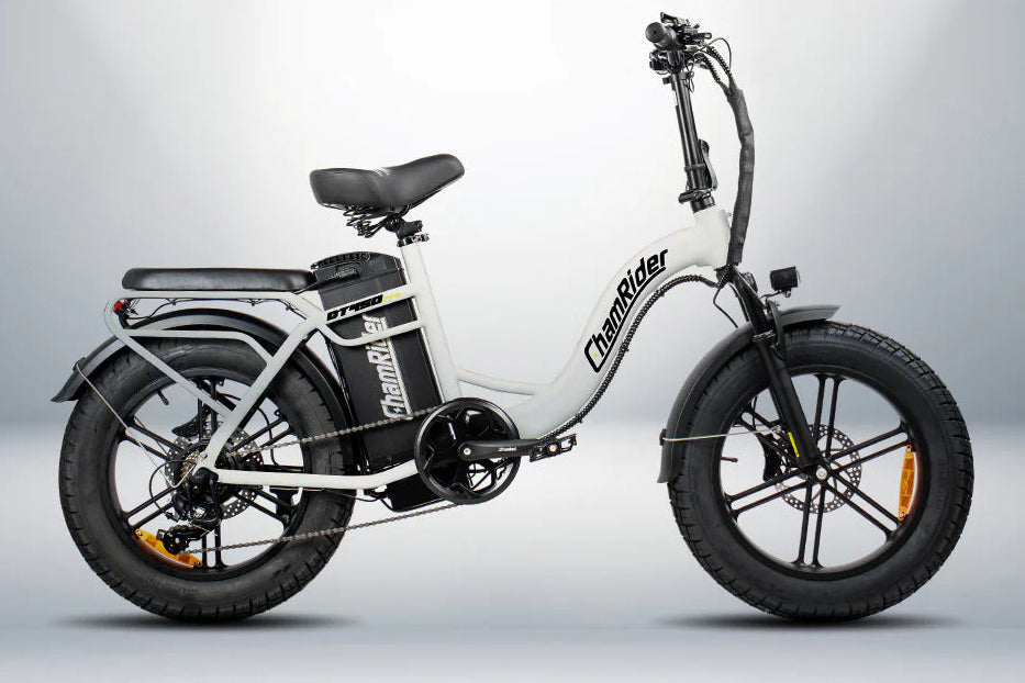 ChamRider DT450 48V50AH | 750W
