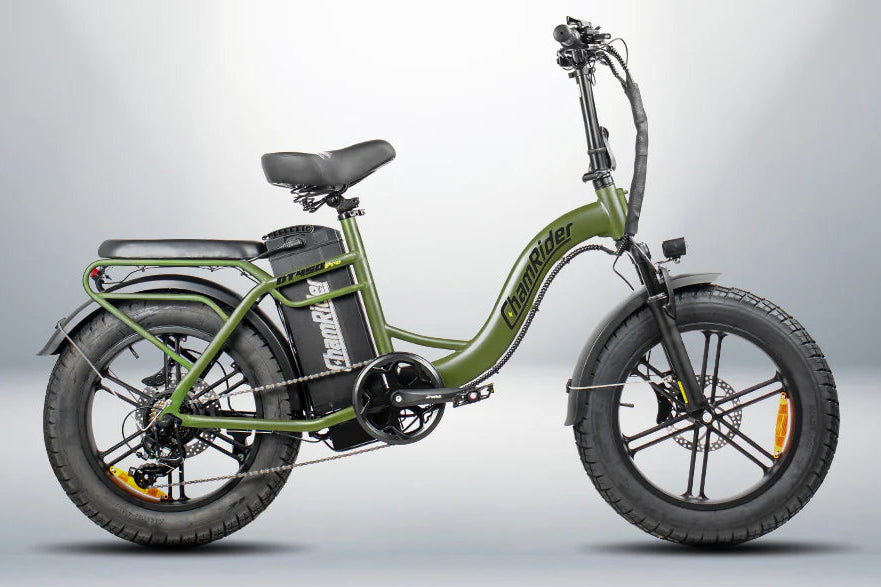 ChamRider DT450 48V50AH | 750W